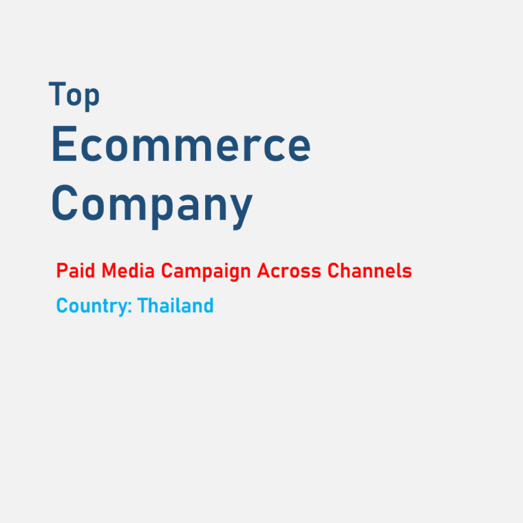 Paid Media Campaign Performance for Top Ecommerce Company