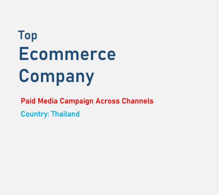 Paid Media Campaign Performance for Top Ecommerce Company